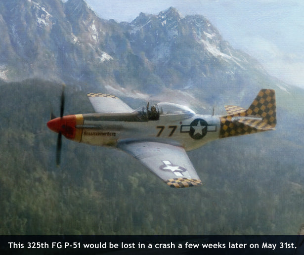 P-51 Mustang of the 325th Fighter Group