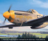 P-51 Angels Playmate art print